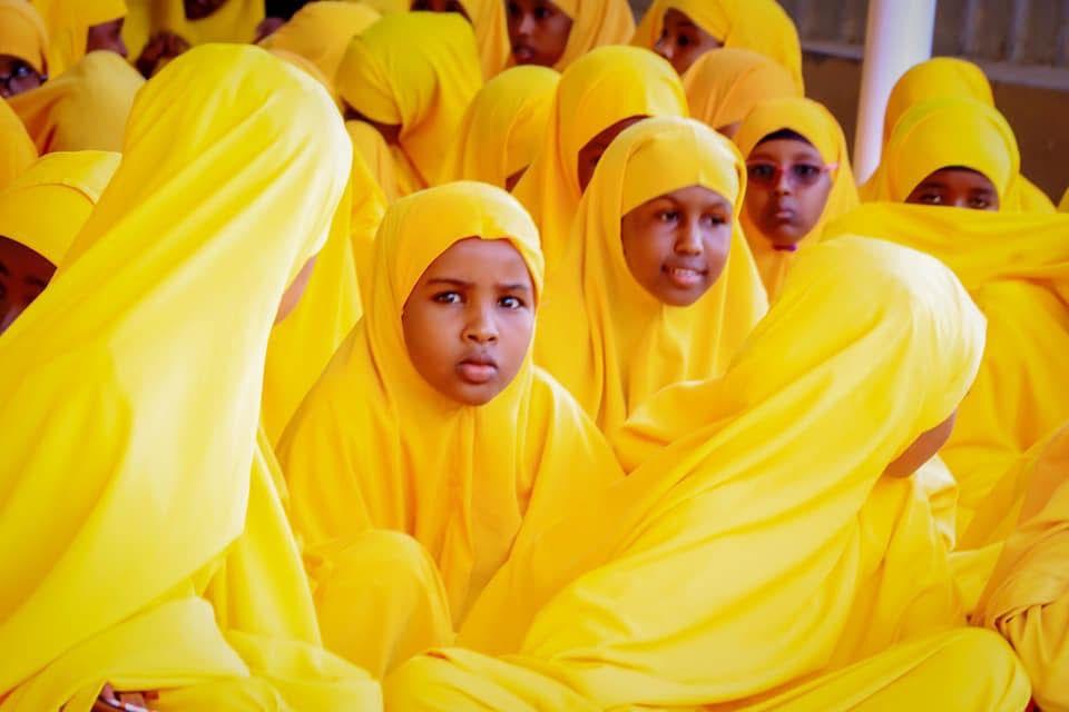 Students raising their hands in a Moonlight classroom